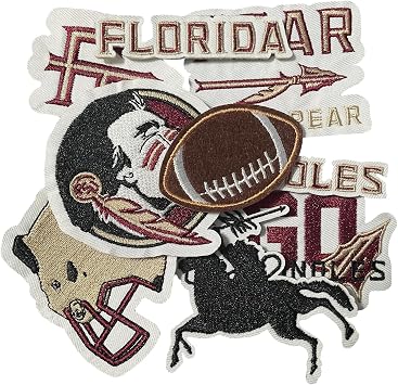 9PCS Florida Iron On Patches,Embroidered Applique Football for Jeans, T-Shirts, Hats, Backpacks & Sports Gear.QS
