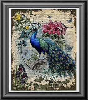Peacock Art Print on dictionary book page, Home Wall Decor Poster, Bird Illustration