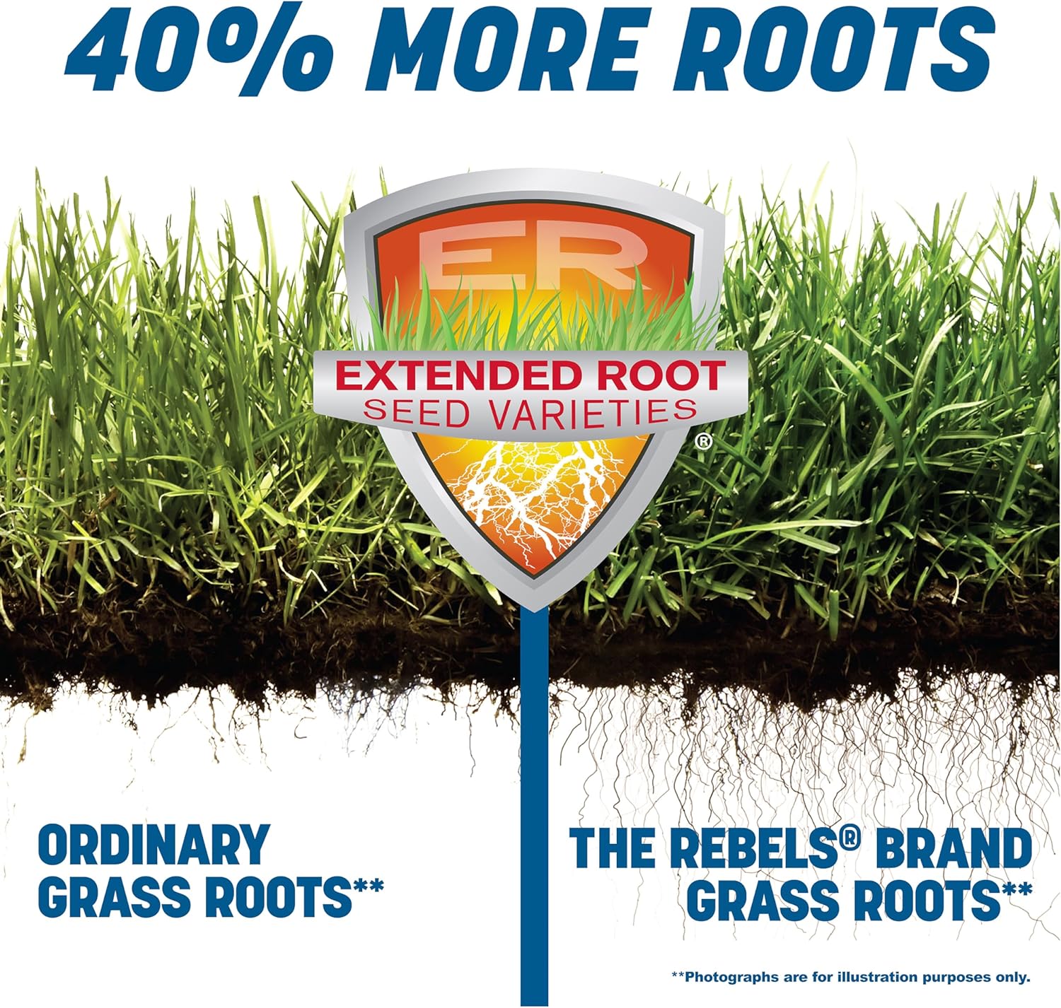 The Rebels Pennington The Rebels Sun and Shade Grass Seed Mix 40 Pounds