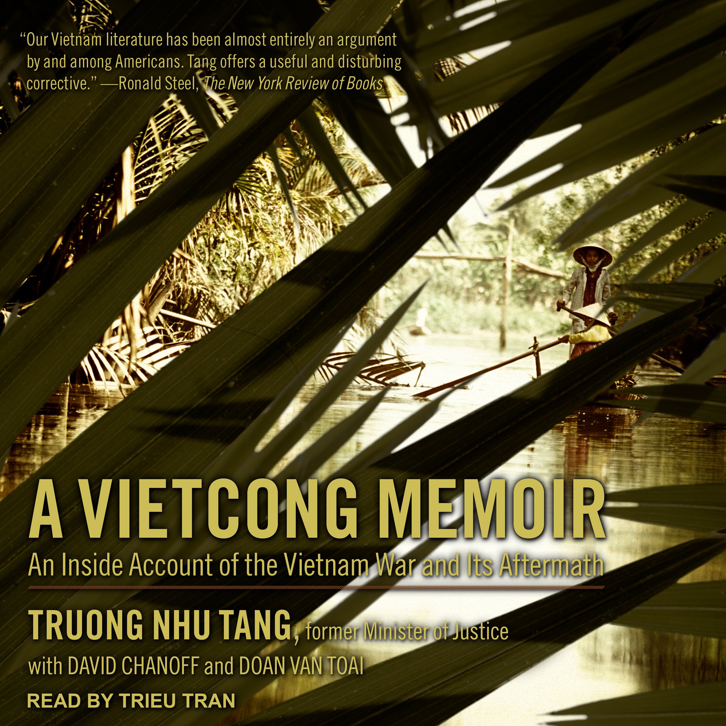 Cover art for A Vietcong Memoir