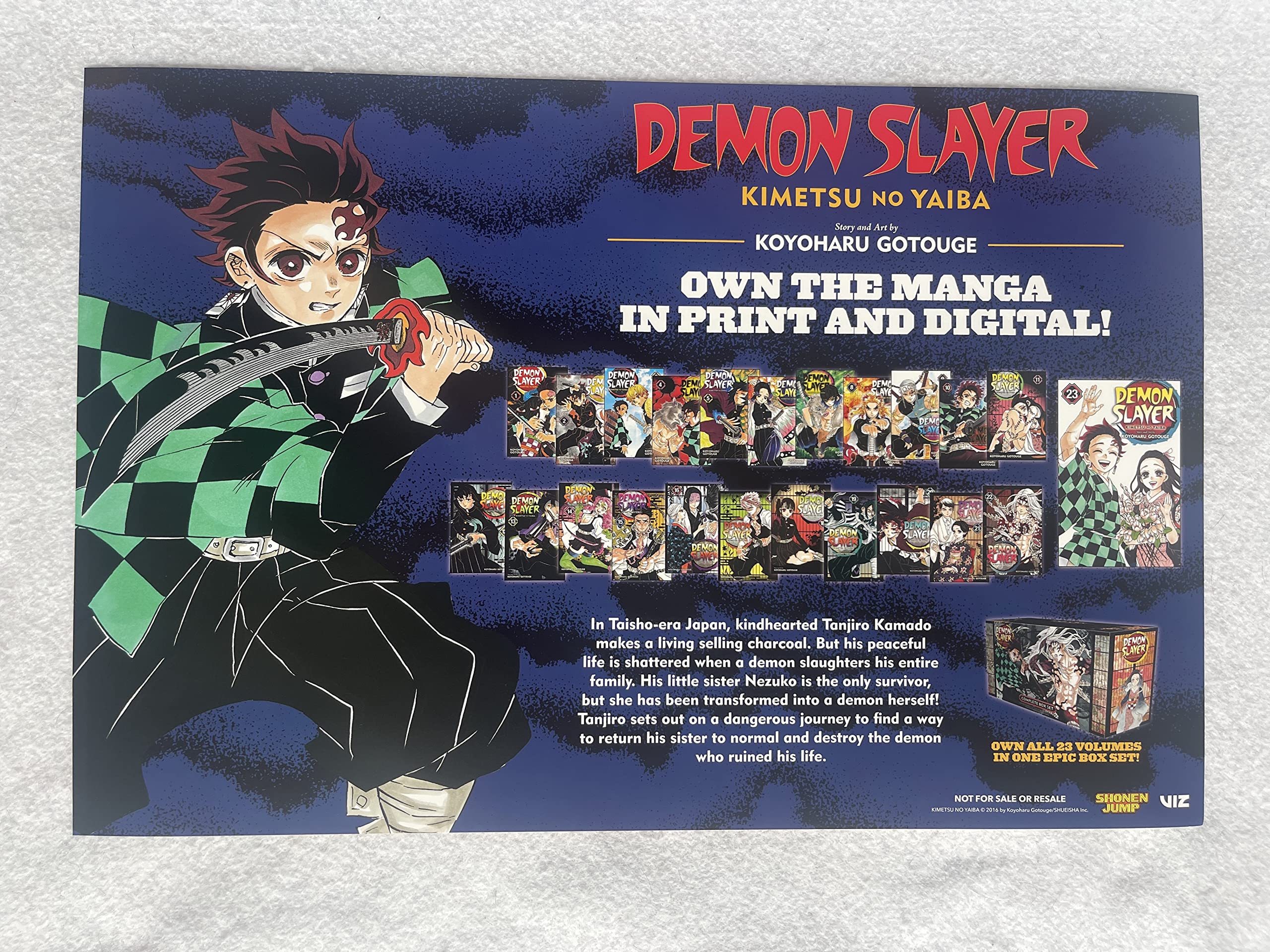 DEMON SLAYER - 12
