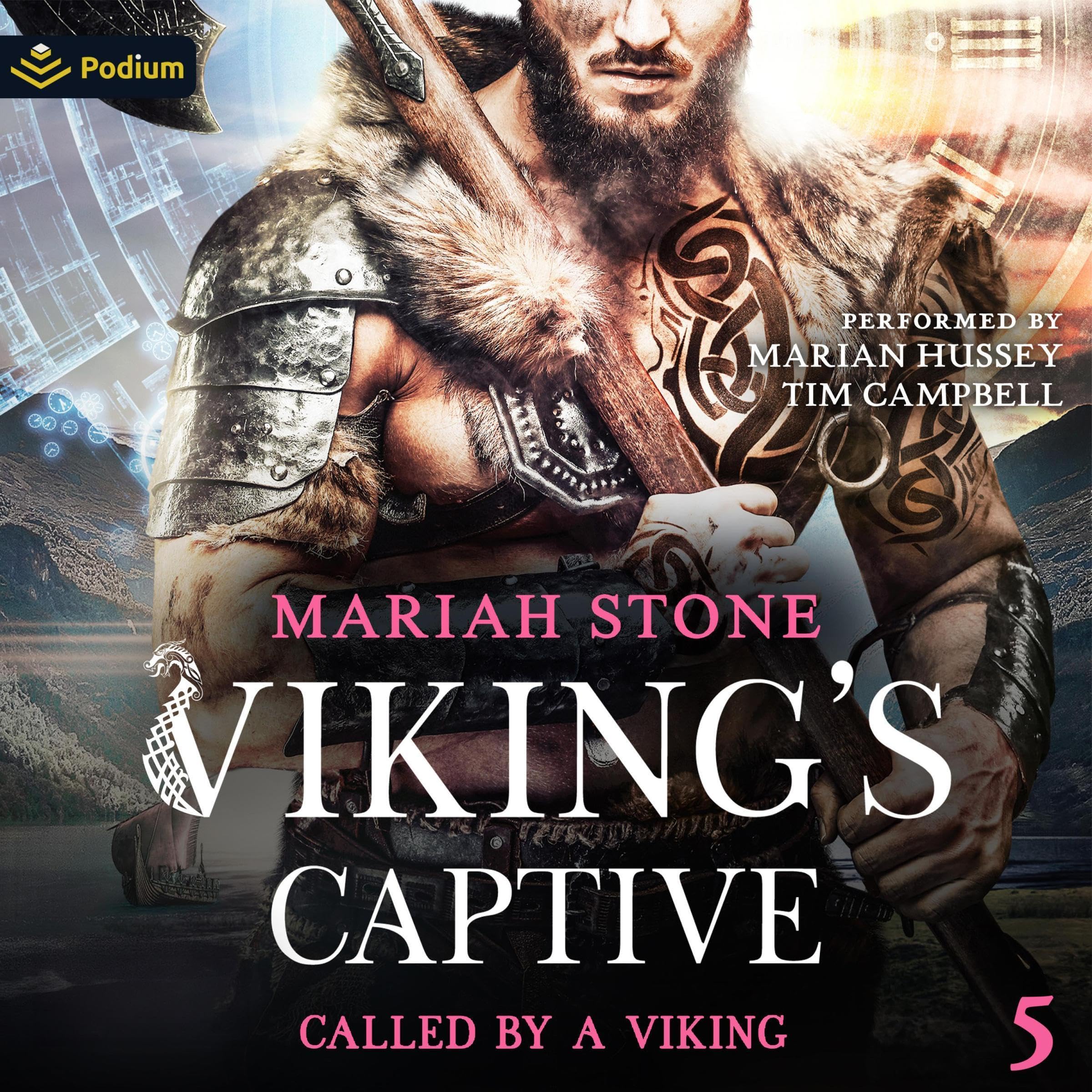 Cover art for Viking's Captive