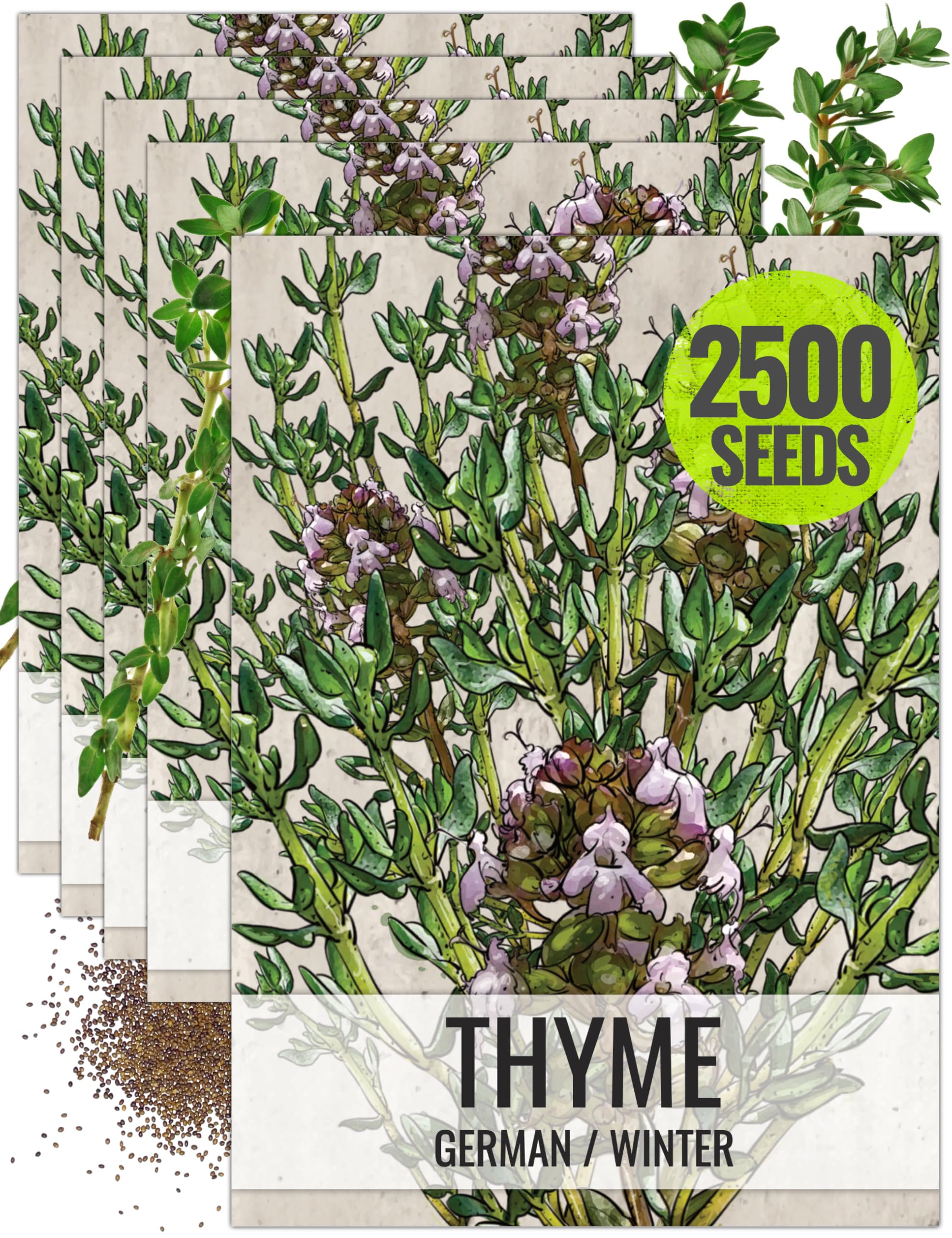 Seed Needs Thyme Seeds