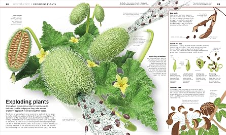 Knowledge Encyclopedia Plants and Fungi!: Our Growing World as You've Never Seen It Before