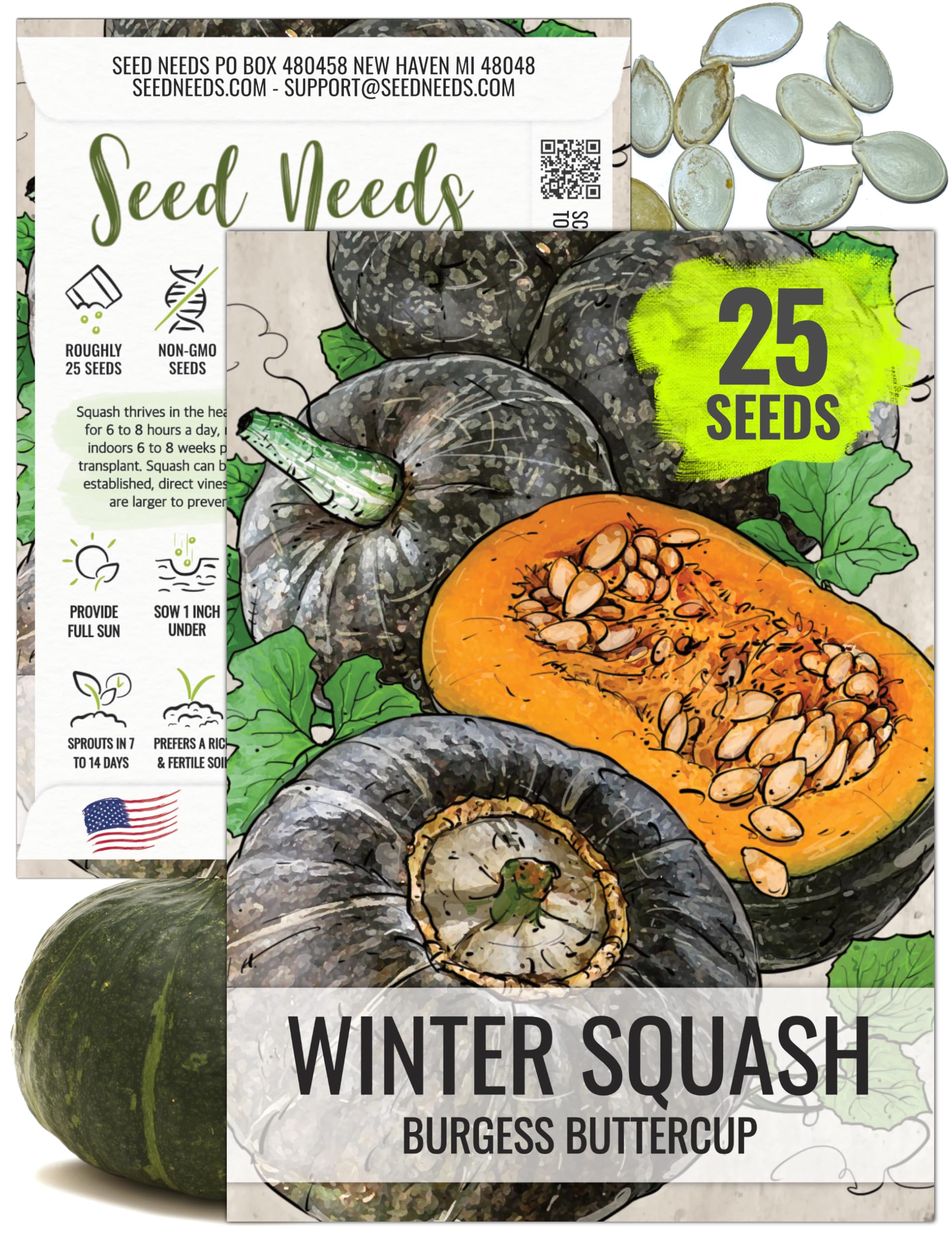 Seed Needs, Burgess Buttercup Winter Squash Seeds - 25 Heirloom Seeds for Planting Cucurbita Pepo - Non-GMO & Untreated to Plant a Home Grown Vegetable Garden (1 Pack)