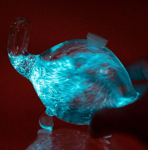 The Living Bioluminescent Bio-Turtle Glass Turtle Microaquarium | Filled with Bioluminescent Glowing Plankton