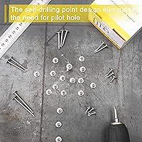 Vista 2 de Tornillos autorroscantes de acero inoxidable #8 x 2 410 para metal, plástico y madera, cabeza de armadura modificada Phillips Drive, tornillos