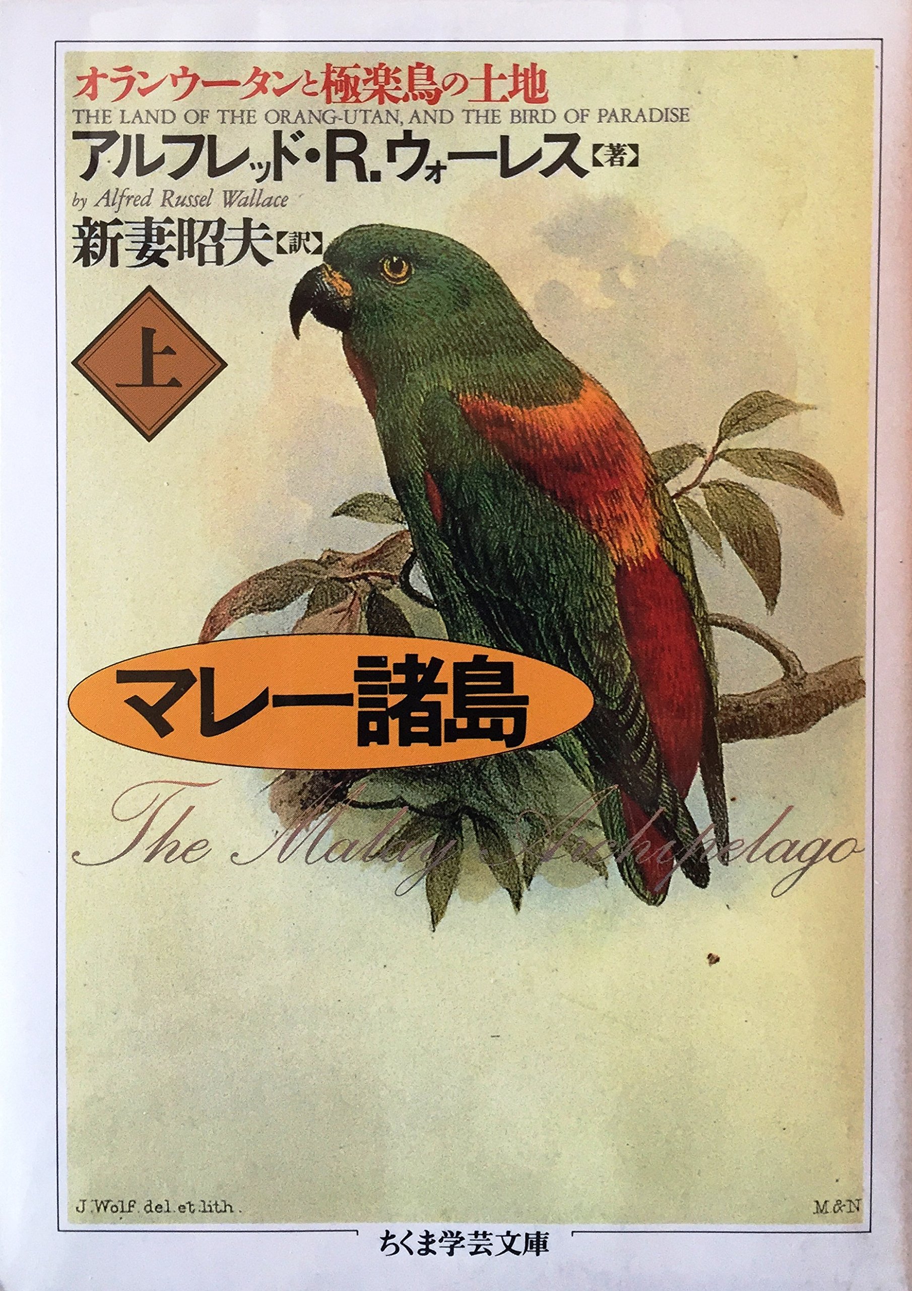 マレー諸島 オランウータンと極楽鳥の土地 上 ちくま学芸文庫 アルフレッド R ウォーレス Wallace Alfred Russel 昭夫 新妻 本 通販 Amazon