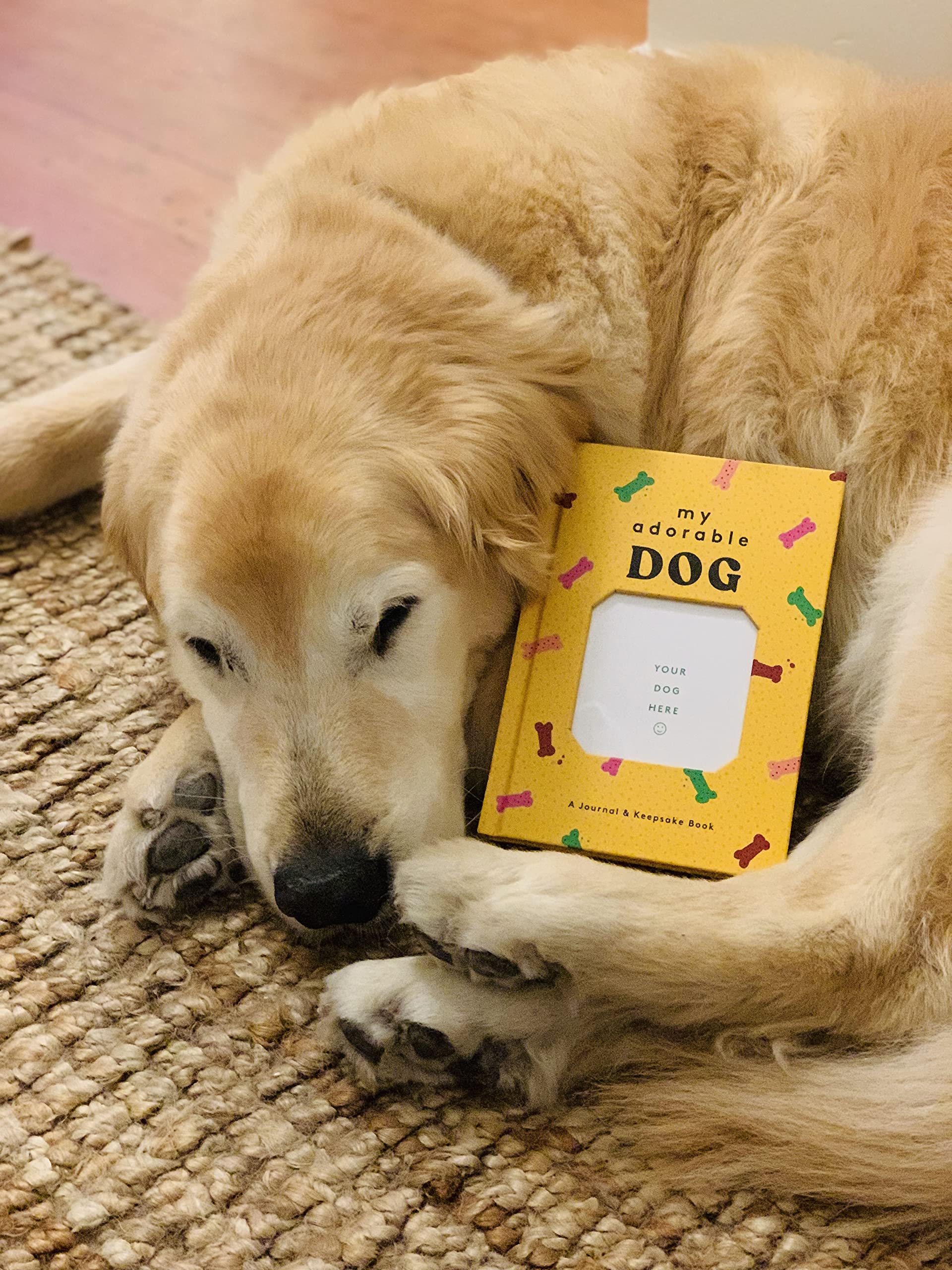 My Adorable Dog: A Journal & Keepsake Book (Dog Owner Gift book, Dog Baby Book) - Image 4