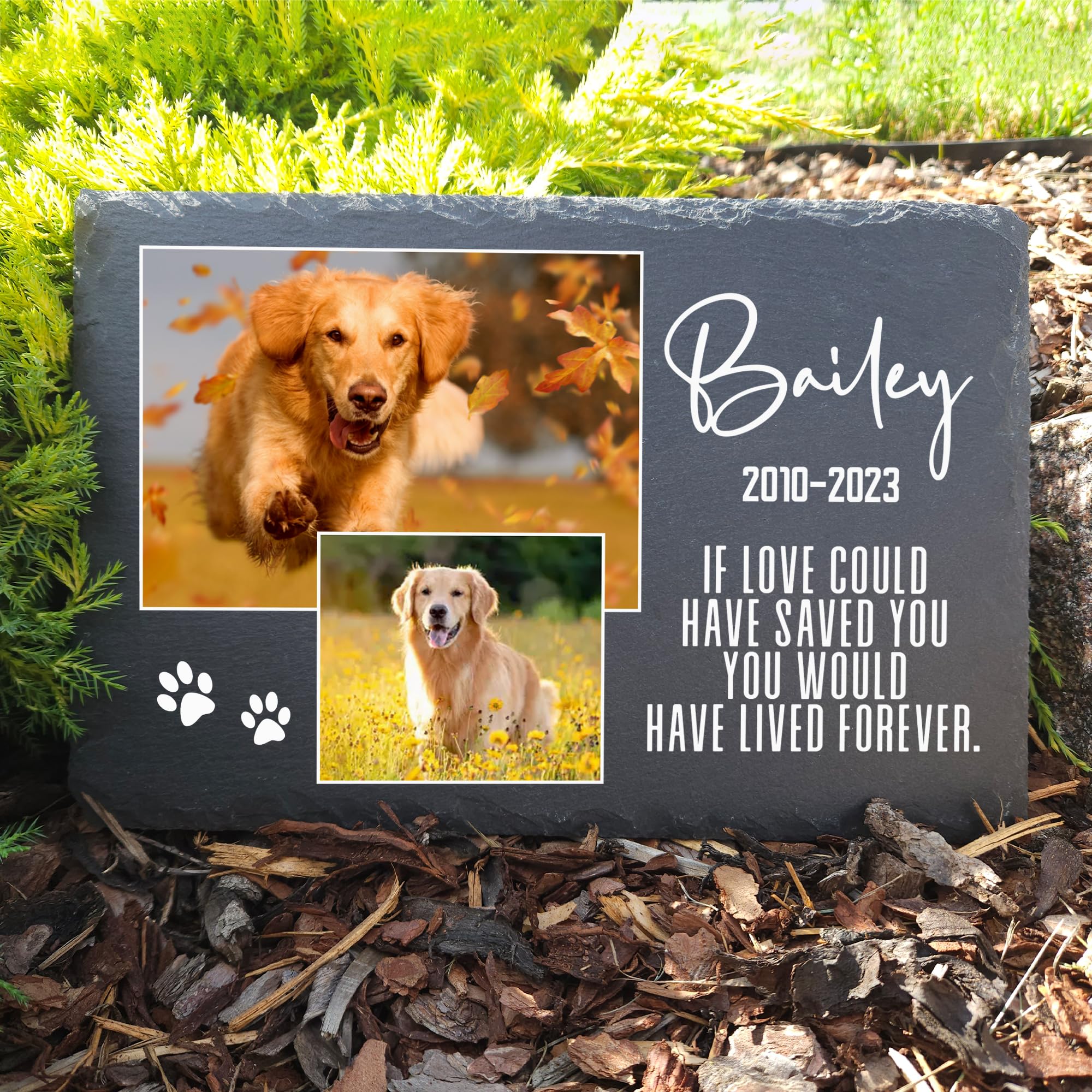 Targa Commemorativa Personalizzata Per Animali | Ardesia 20x30 Cm Con Foto E Nome - Resistente Alle Intemperie - Foto 5