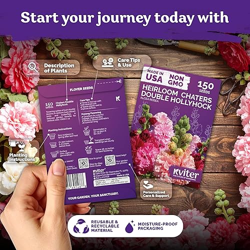 Miniatura 2 de KVITER 300 semillas Chaters Hollyhock para plantar (Alcea rosea), paquete de 2  reliquia  Flores altas  Imán polinizador  Semillas de flores de