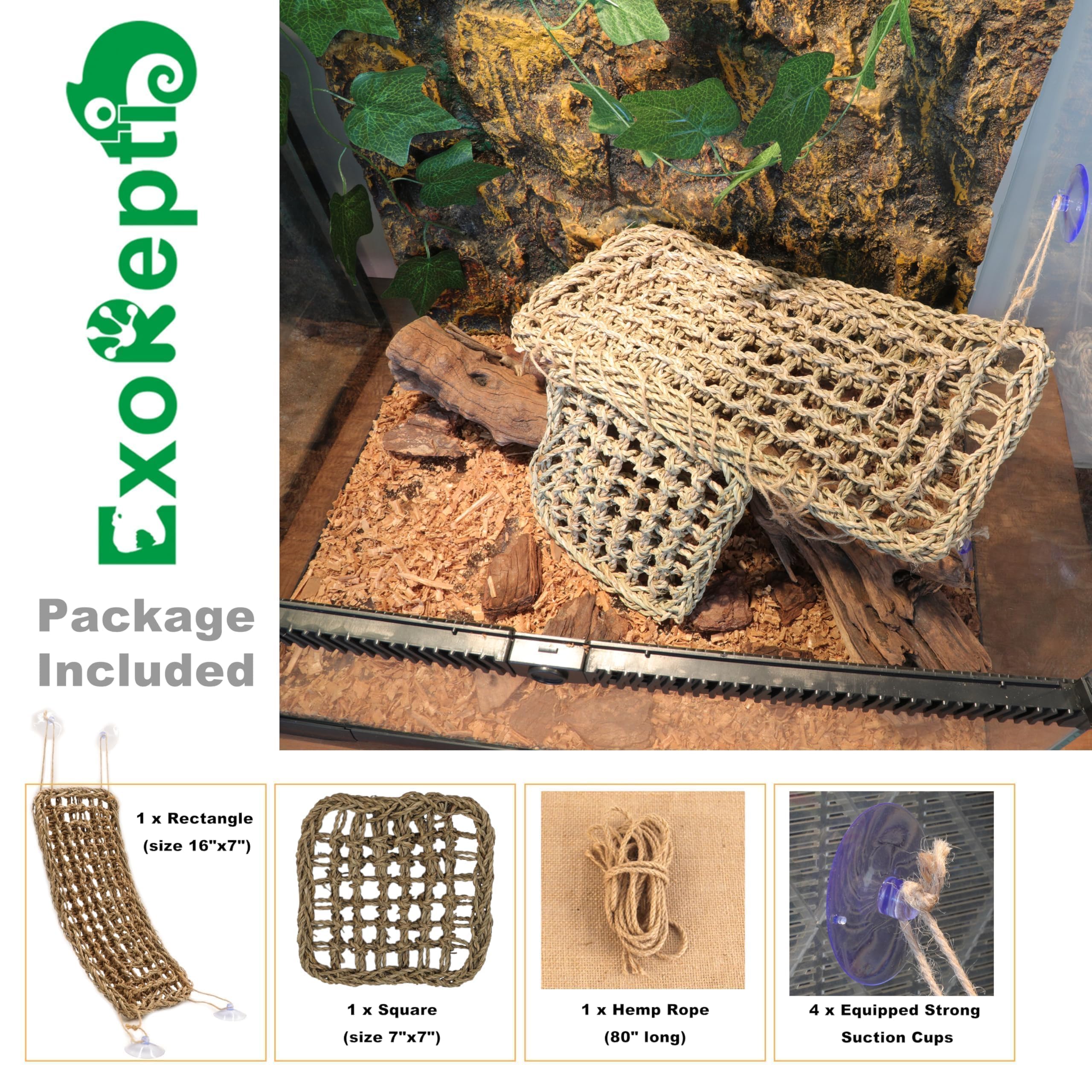 Amaca per lucertola con drago barbuto, accessori per rettili, anfibi, habitat per camaleonte, gechi, serpenti, granchi eremiti, rettili lguana, tartarughe