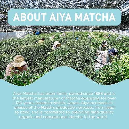 Miniatura 6 de Aiya Gyokuro orgánico con infusión de matcha  Té verde matcha ceremonial orgánico gyokuro orgánico 10 unidades