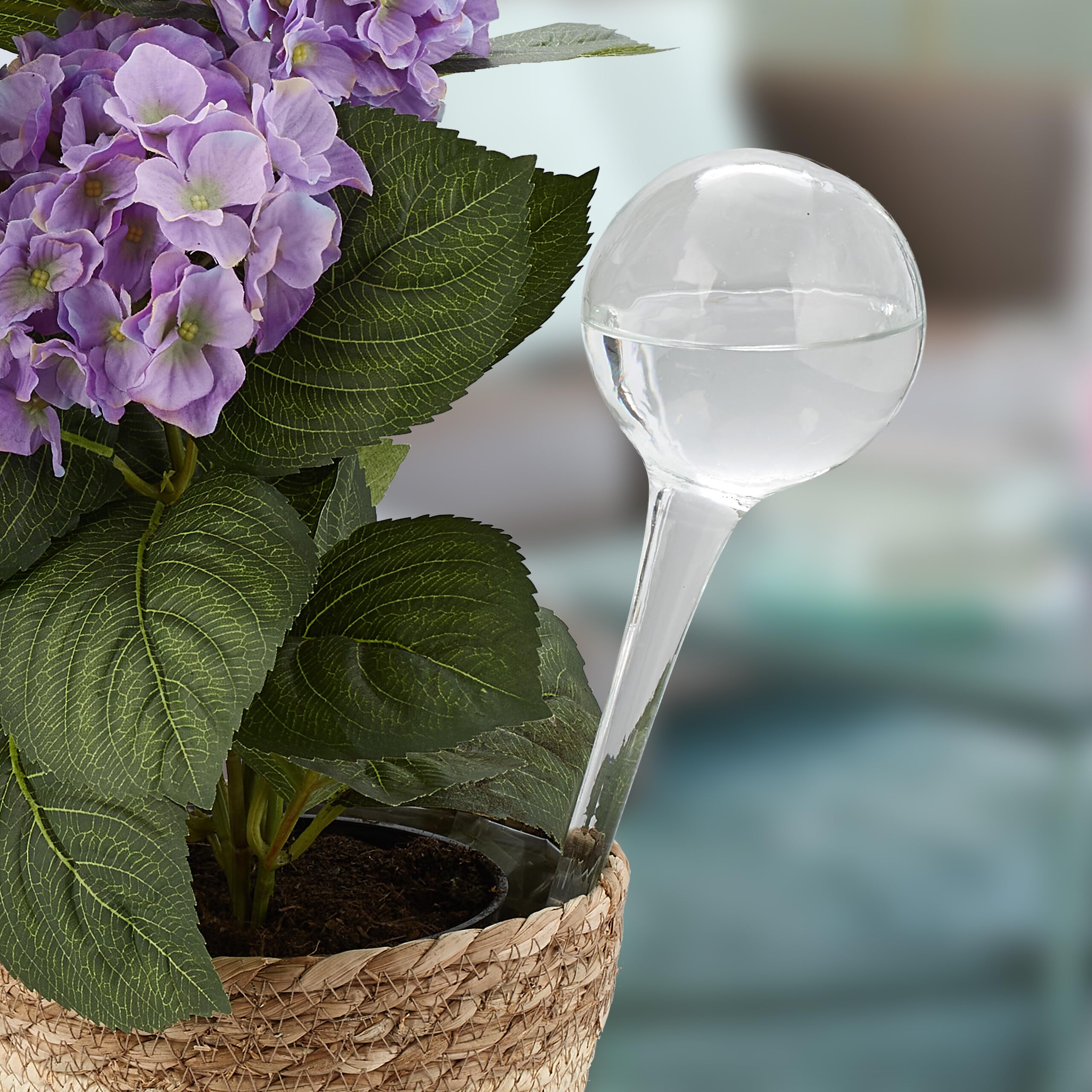 Relaxdays Set 2 Sfere Per Irrigazione Automatica In Vetro, Verdi, 350 Ml, Con Stelo 21 Cm, Per Piante In Vacanza. - 5