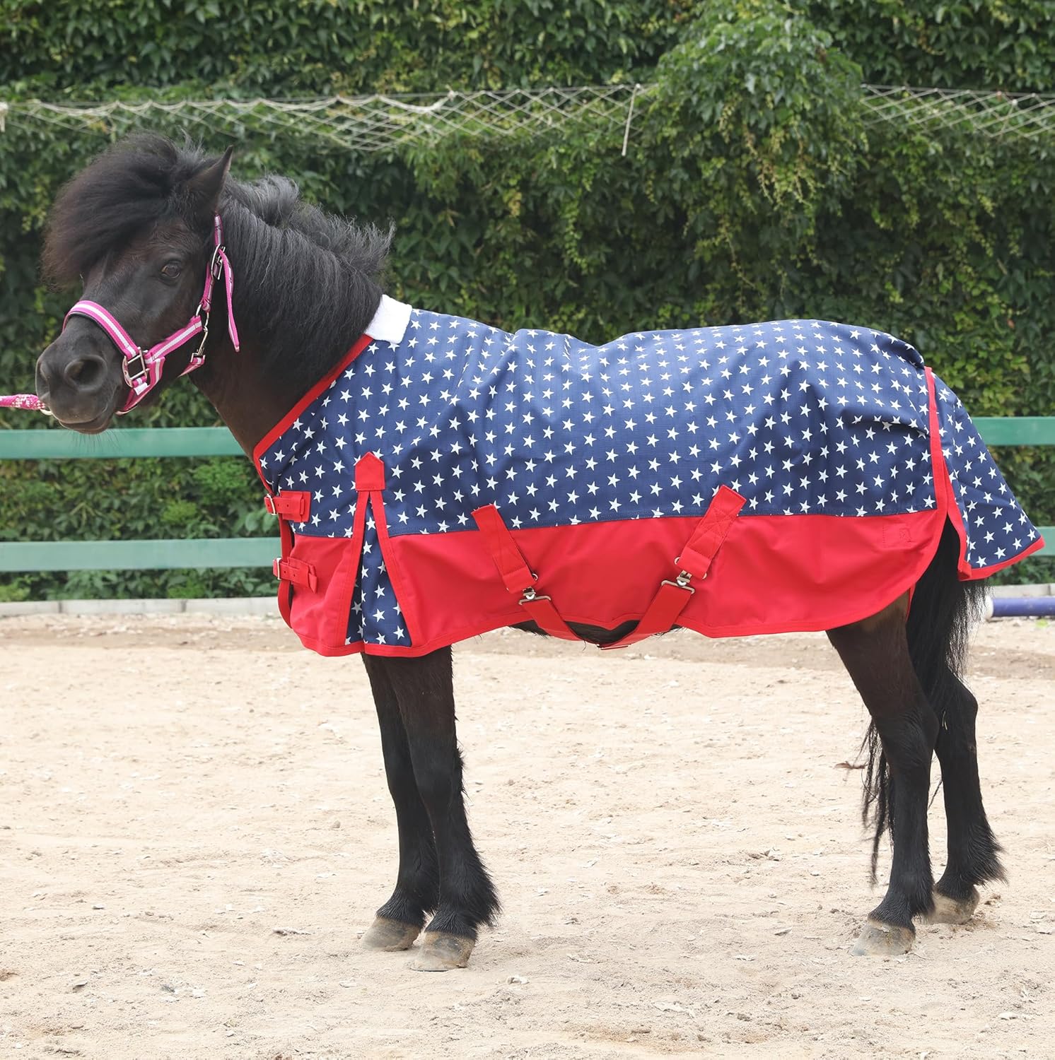LEAFOREST 1200 Denier Waterproof Mini Shetland Rug Pony Rug Foal Rug Turnout Rug (no Filling) Star 48IN