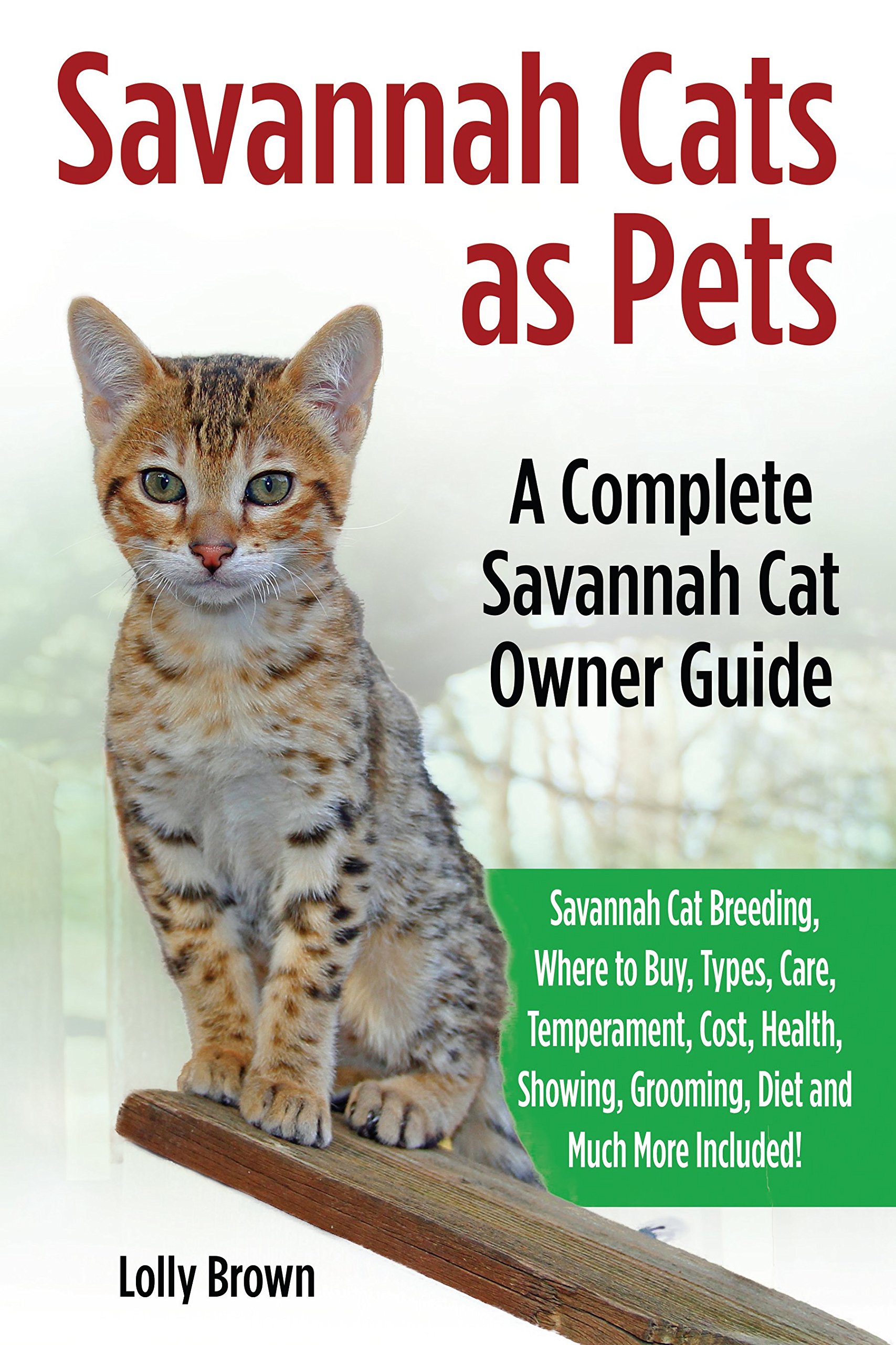 Savannah Craigslist: The Ultimate Guide To Buying And Selling Safely - 6yeikx9