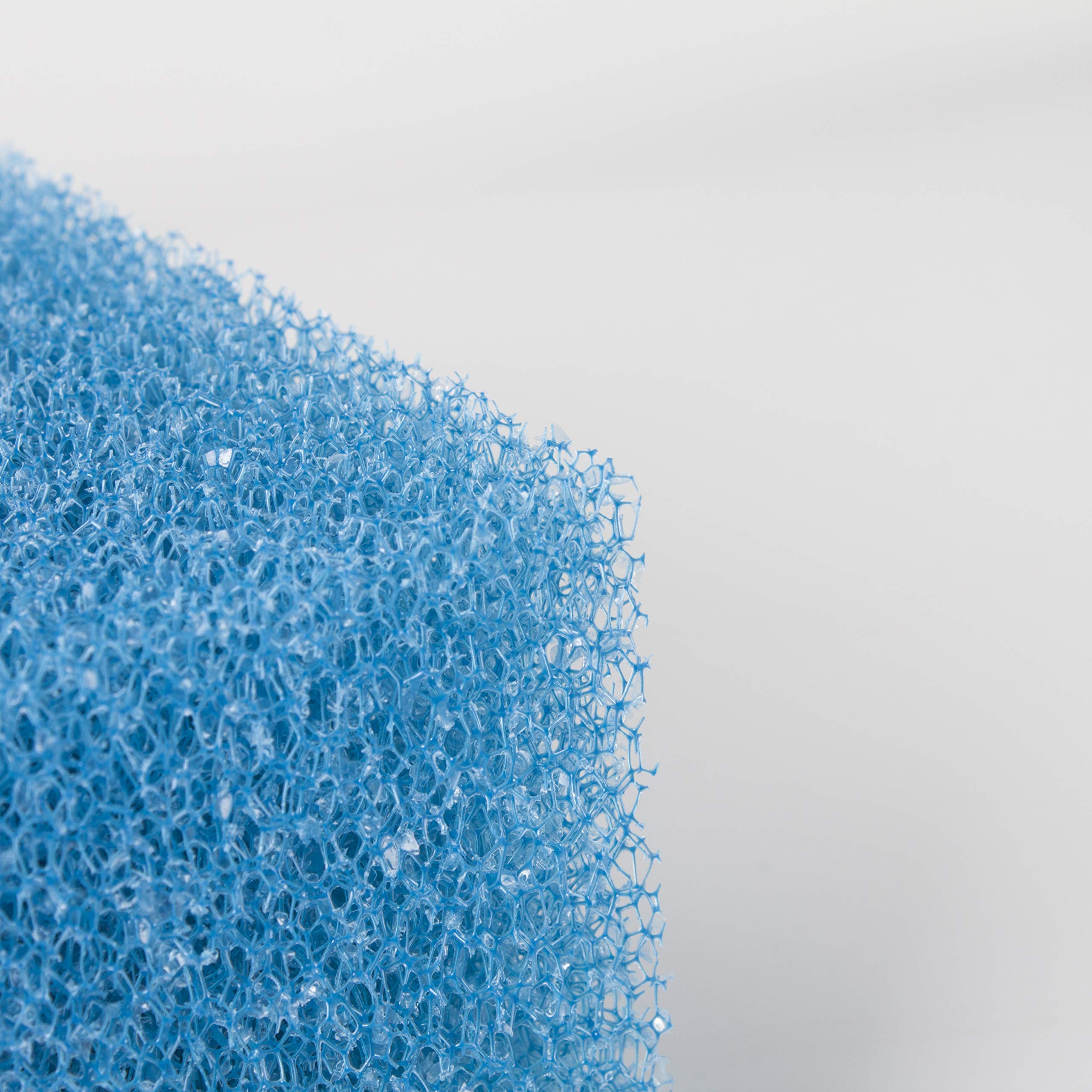 Oase Biotec Screenmatic 18 & 36 Esponja de filtrado Gruesa de Color Azul y Esponja de filtrado de Color Verde Claro (36 Piezas)