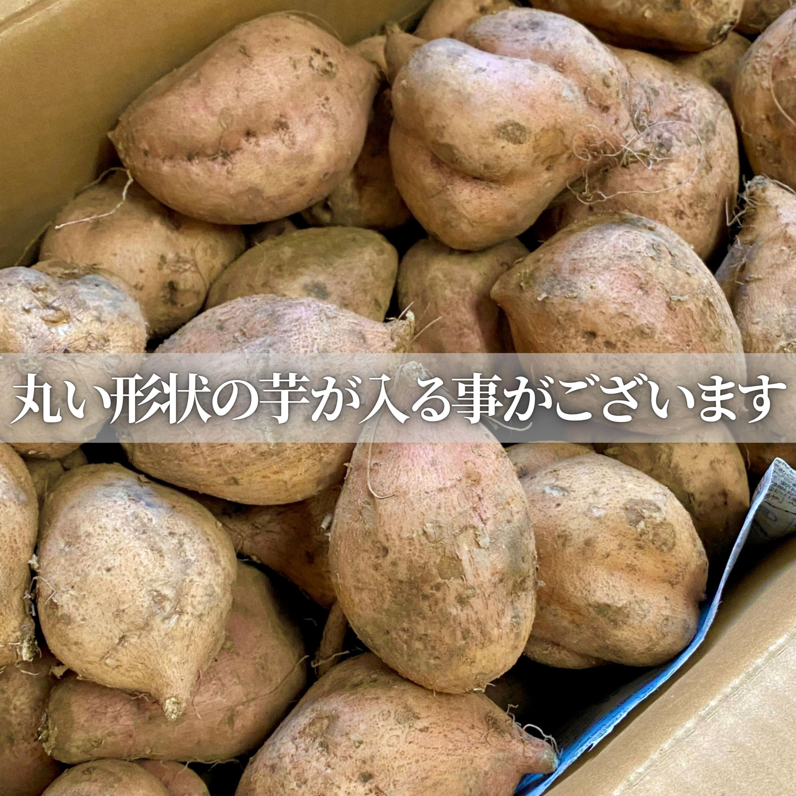 Amazon.co.jp: 希少！秀品 マロンゴールド 選べる【2㎏・5㎏・10㎏】 9