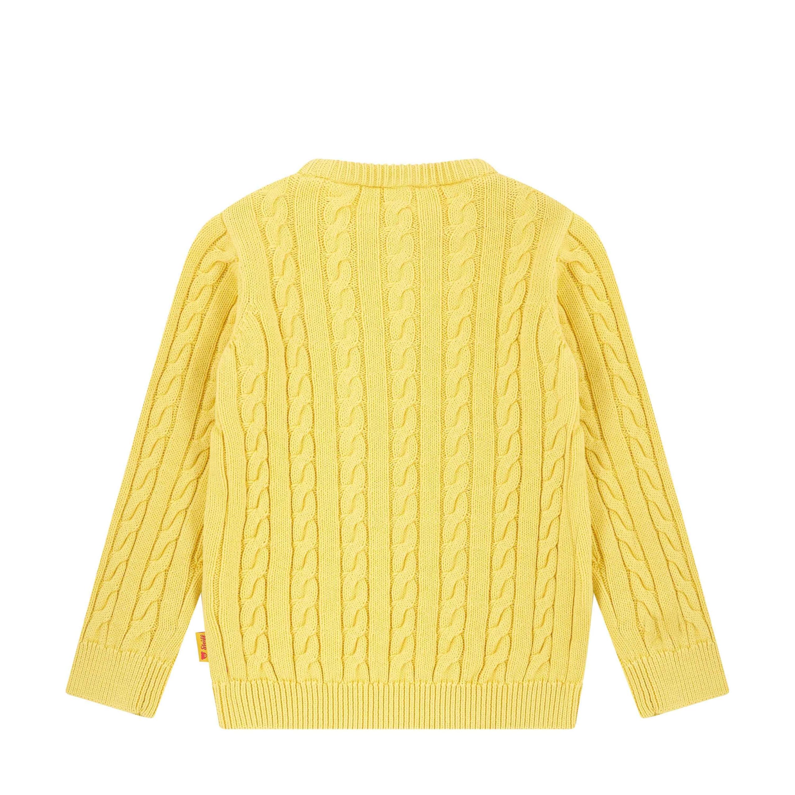 Steiff Jungen Pullover