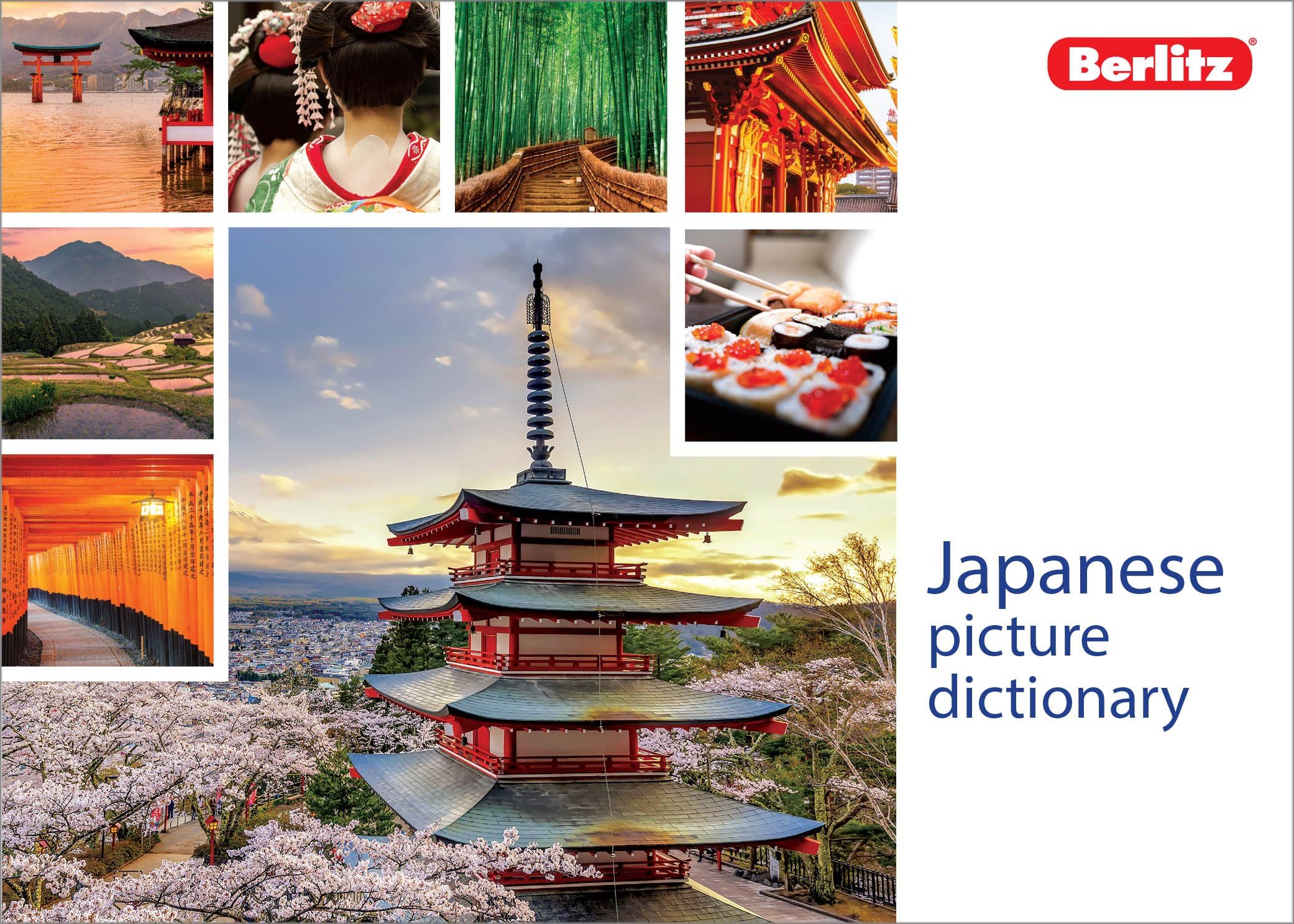 Berlitz Picture Dictionary Japanese (Berlitz Picture Dictionaries) Paperback – 1 April 2019