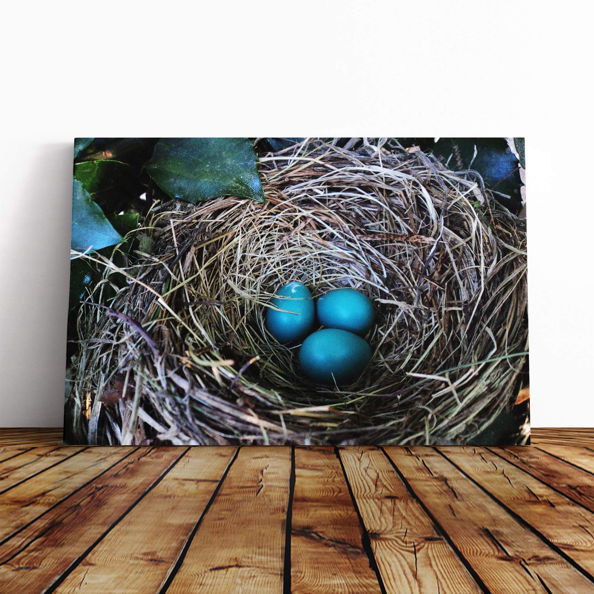 Birds Nest Duck Egg Blue Canvas Print | Gallery Wrapped 30mm Frame Wall Art | 24x16 inches | Ready to Hang | Modern Bird Picture | Living Room Bedroom Lounge Office