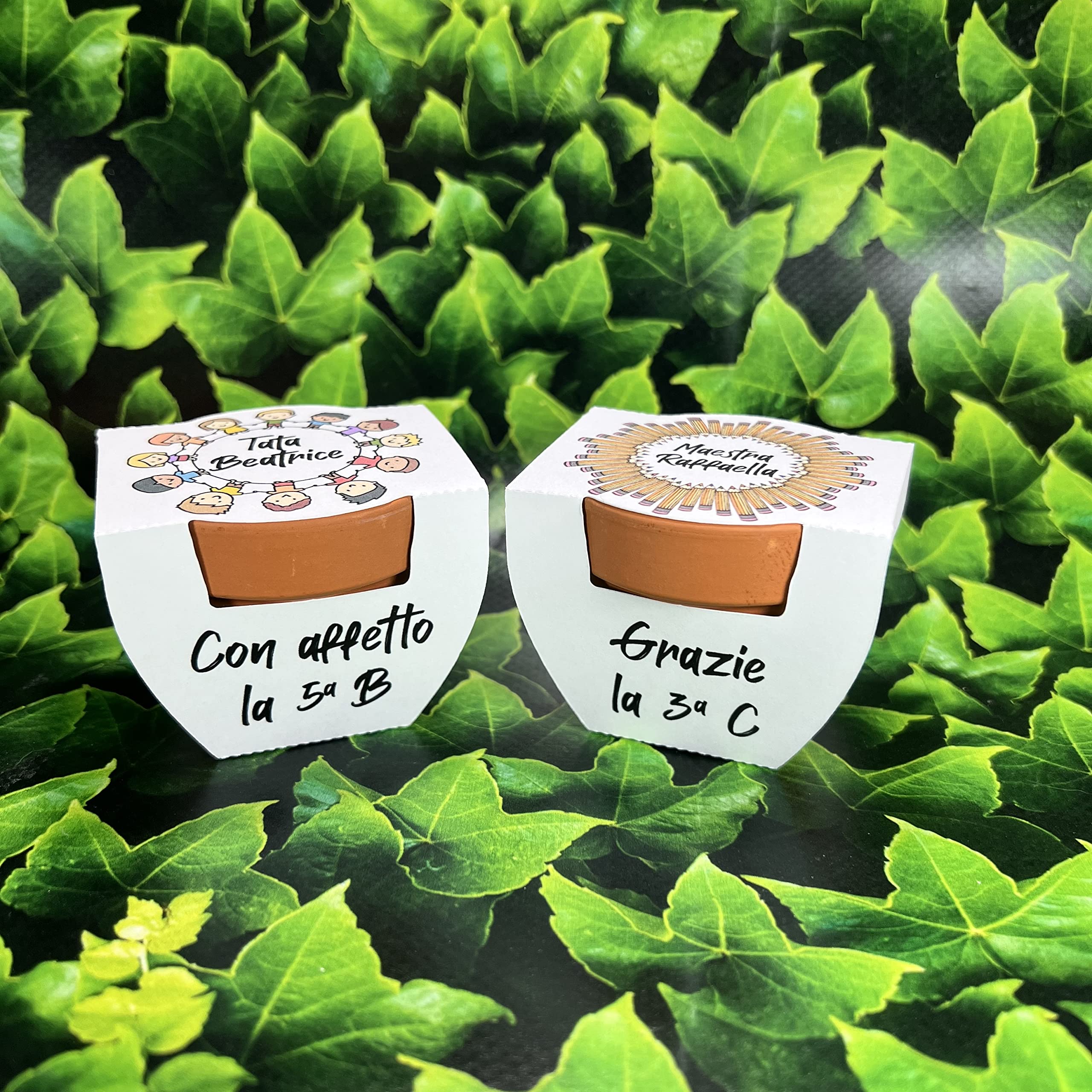 Vaso in Terracotta con Semi Personalizzato – Regalo Maestra Fine Anno Scolastico o Ritorno a Scuola – Idee Ecologiche con Sementi Floreali e Aromatiche