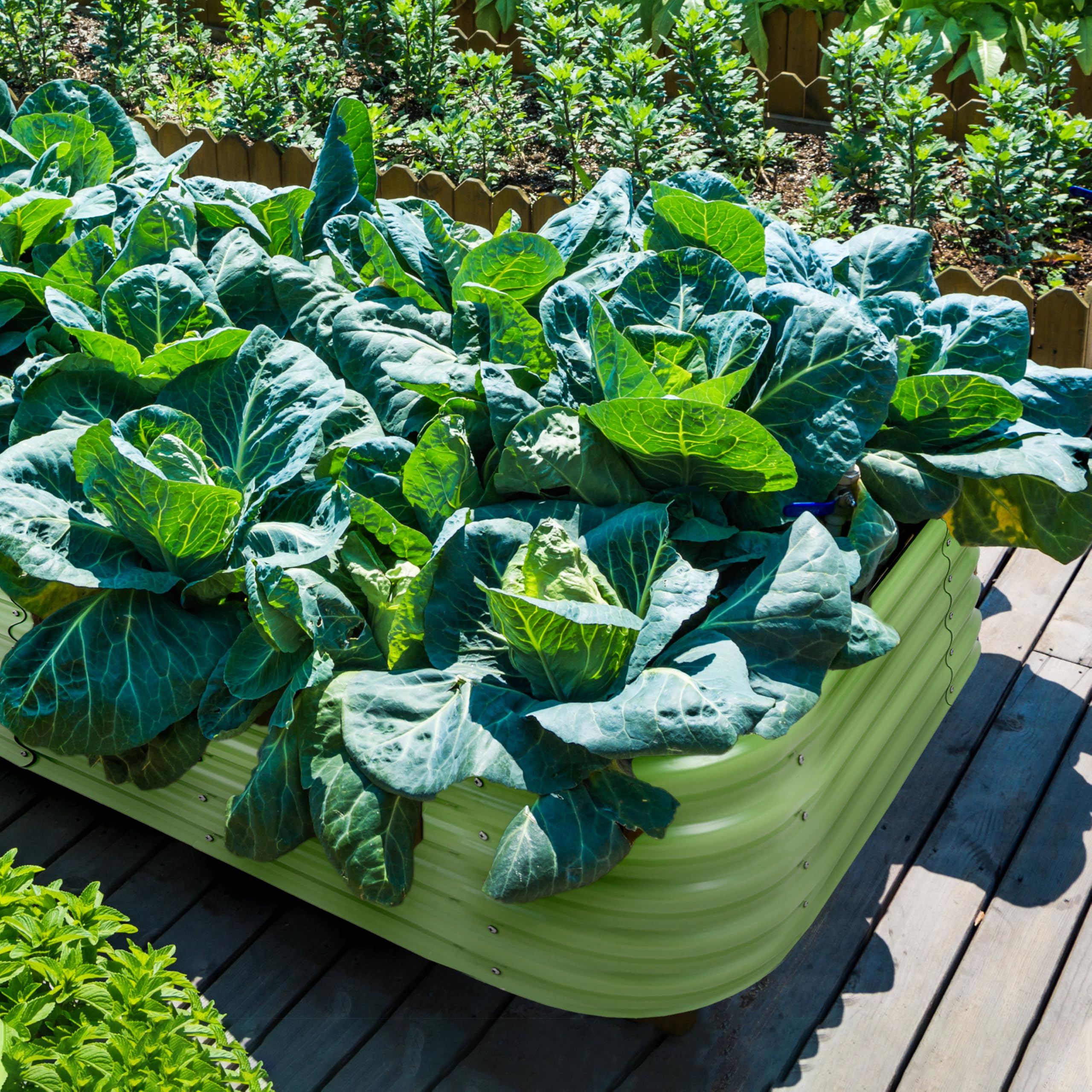 Metal Raised Garden Bed - 9-in-1 Modular Design -6 Metal Raised Garden Bed - 9-in-1 Modular Design -6