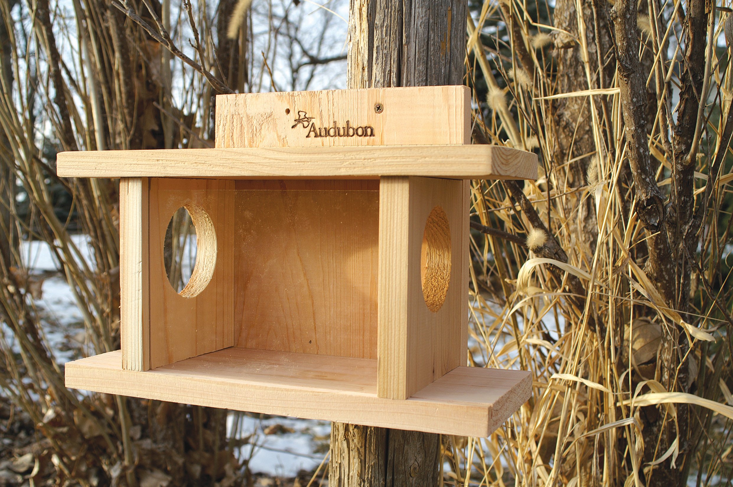 Woodlink NASQBOX2 Audubon Eichhörnchen Munch Futterhaus