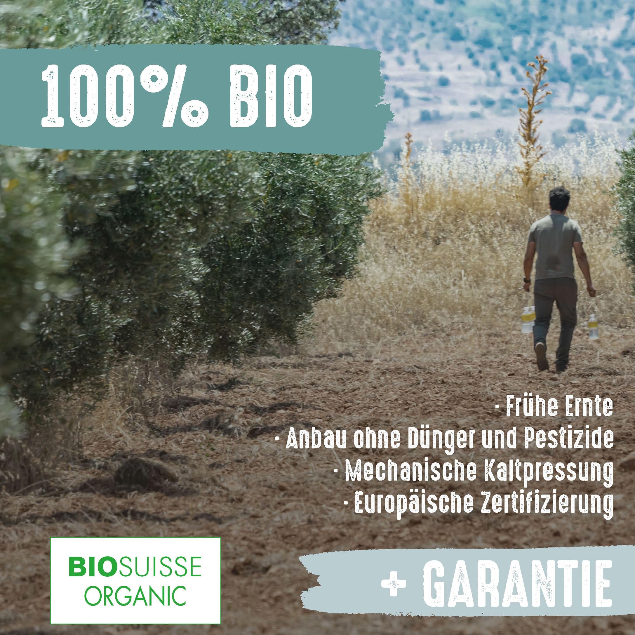 NOMBRE PROPIO Natives Olivenöl Extra Bio – 100% Spanisch – im praktischen Bag-in-Box-Format, 3 L (Picual Arbequina). Reich an Polyphenolen - EVOO Arbequina