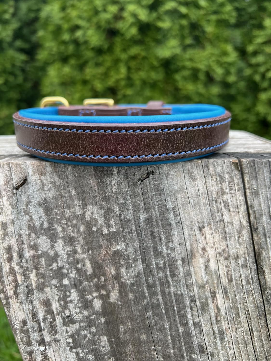 Leaders Leather Dog Collar with Customized Name Plate (Pink/Brown Medium/Large (15"-19"))
