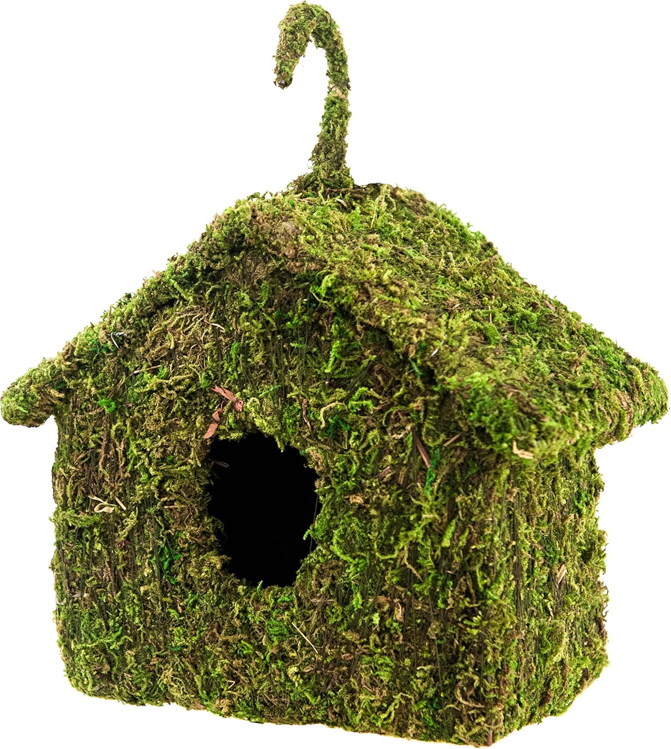 SuperMoss (56036) Maison Birdhouse, 6 by 8-Inch, Fresh Green