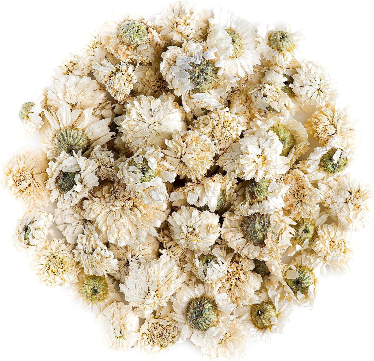 Roman Camomille Flowers Tea Anthemis Nobilis Chamoline Chanomille