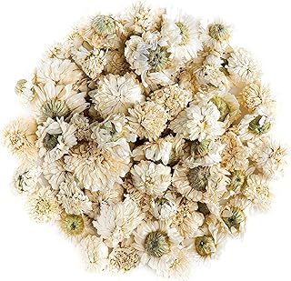 Roman Camomille Flowers Tea - Anthemis Nobilis - Chamoline Chanomille Chammomile Cammamile Chaomile Chamomilla Tea Chamomile Flowers Roman Chamomile Tea Camomille Tea Chamomille Tea Camomille Teas