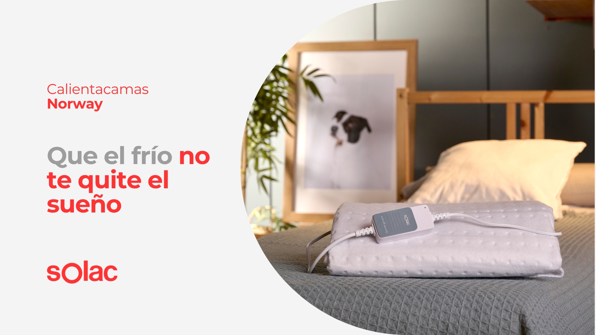 Solac CT8626 Norway Electric Blanket 150 x 80 cm, 60 W, Sensfort