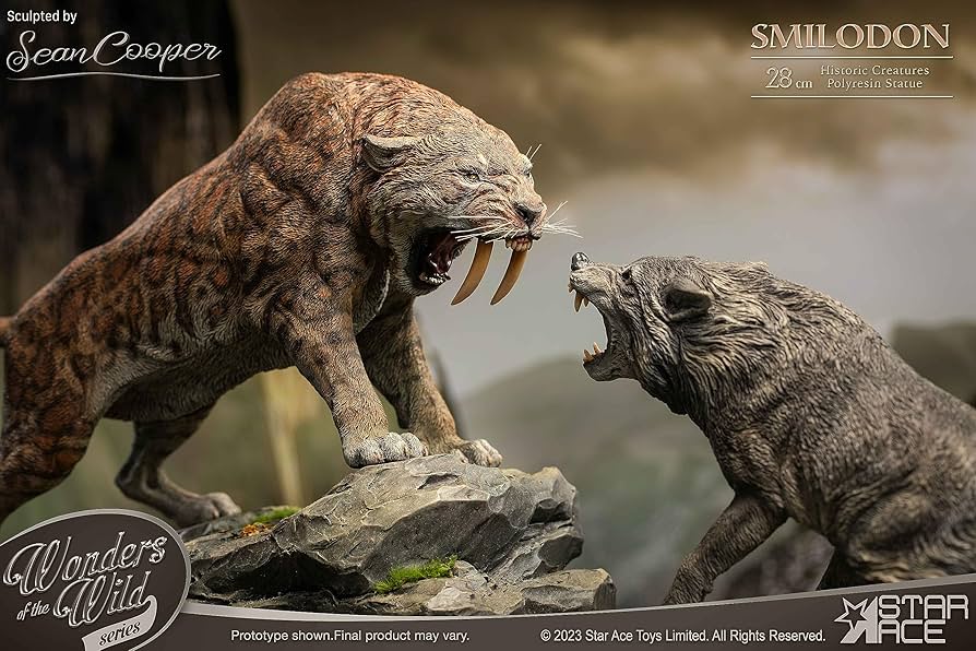 91bHEzFe9bL._AC_UF894,