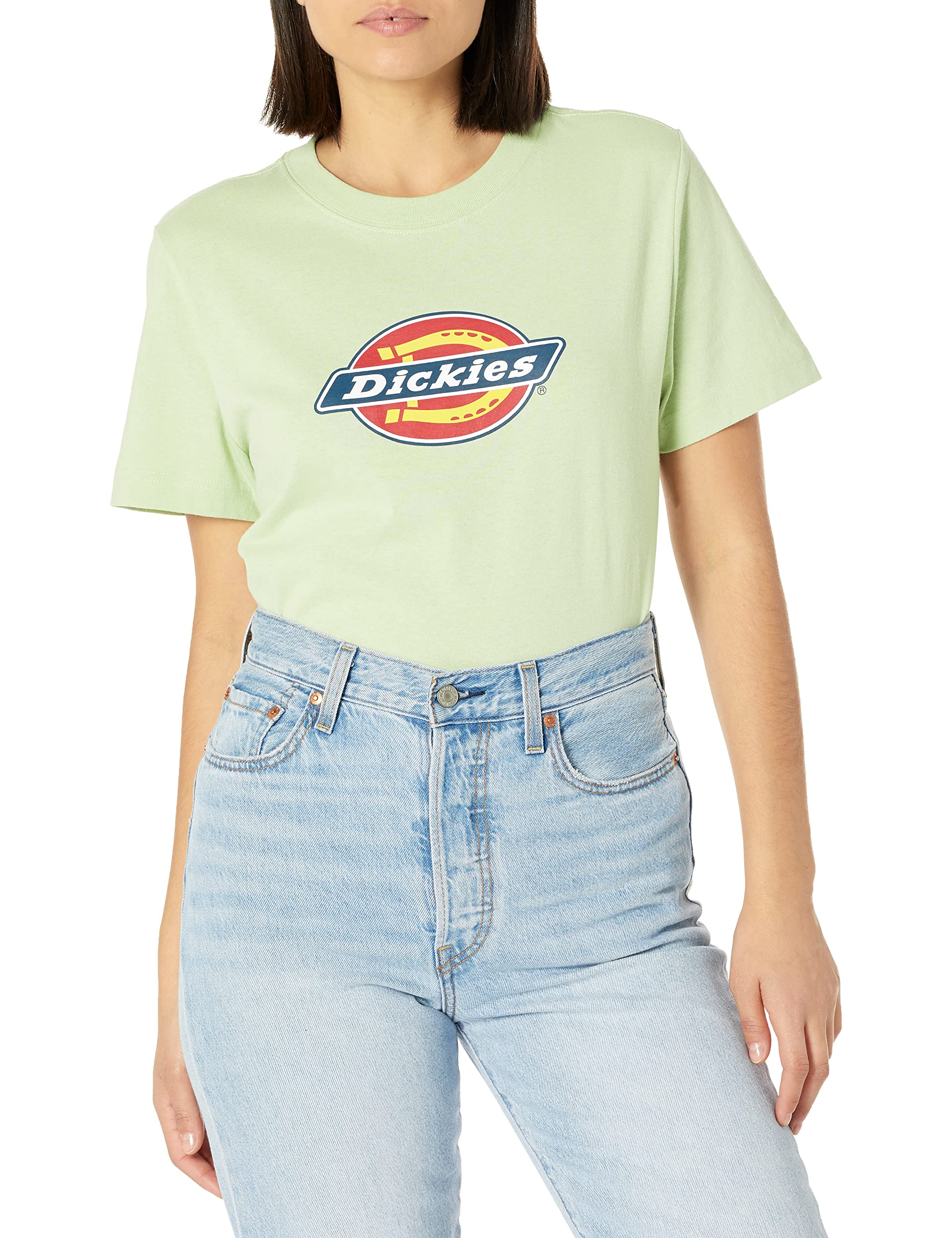 Dickies Women's Logo Graphic Short Sleeve T-Shirt, Celadon Green, XL