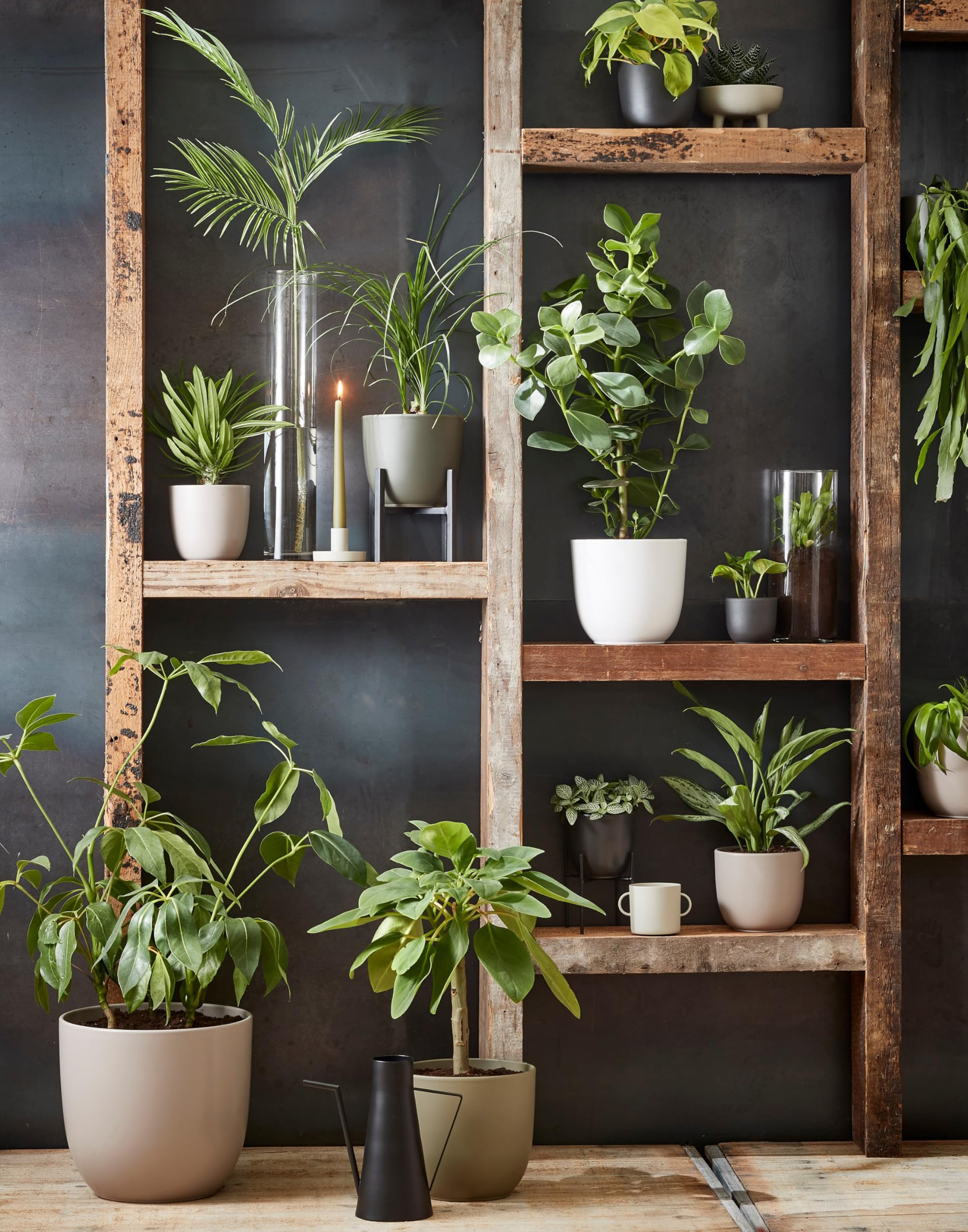 Annastore Blumenübertopf Tusca aus Keramik (Taupe/Matt, H 16 cm - Ø 17 cm) | Übertopf - Blumentopf - Übertöpfe - Blumentöpfe
