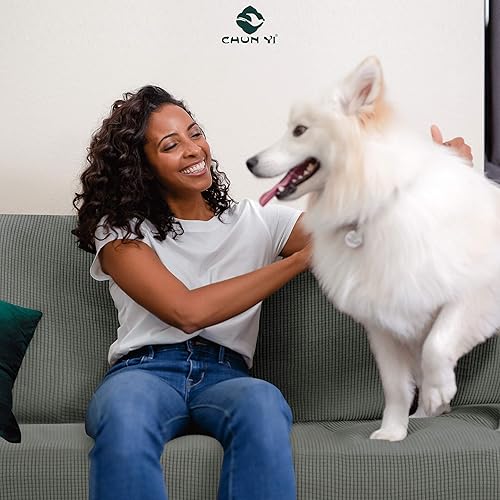 Vista 278 de CHUN YI - Funda elástica para sofá (1 unidad)