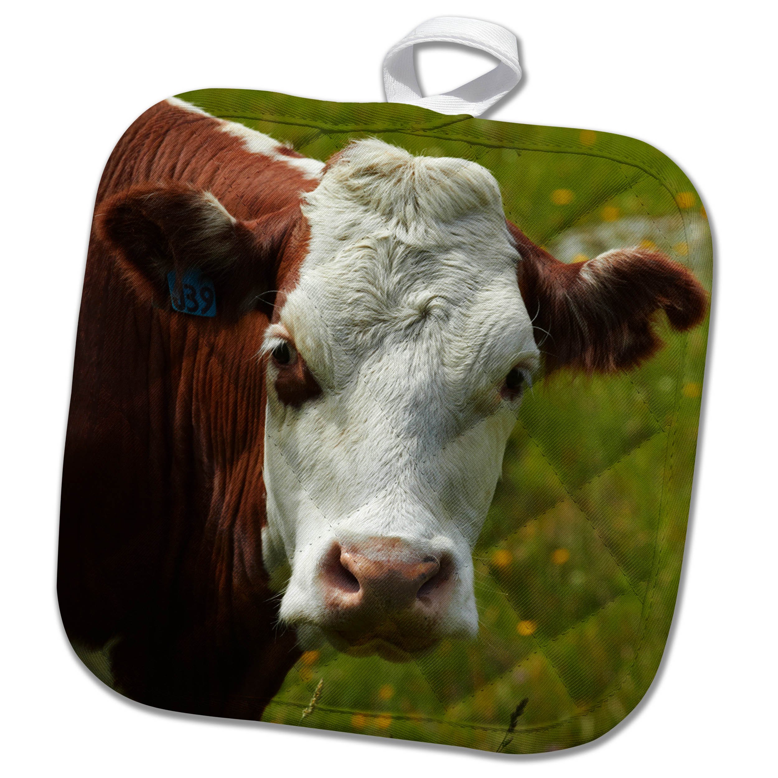 3dRose Pot Holder Cow, MA Tukituki Valley, near Wanaka, Otago, South Island, New Zealand, 8 by 8