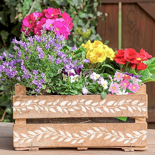 Miniatura 2 de NAKLEO Plantilla de plástico reutilizable para bricolaje, 5.8 x 8.3 pulgadas, hojas de mini borde, diseño de pintura de pared para manualidades,