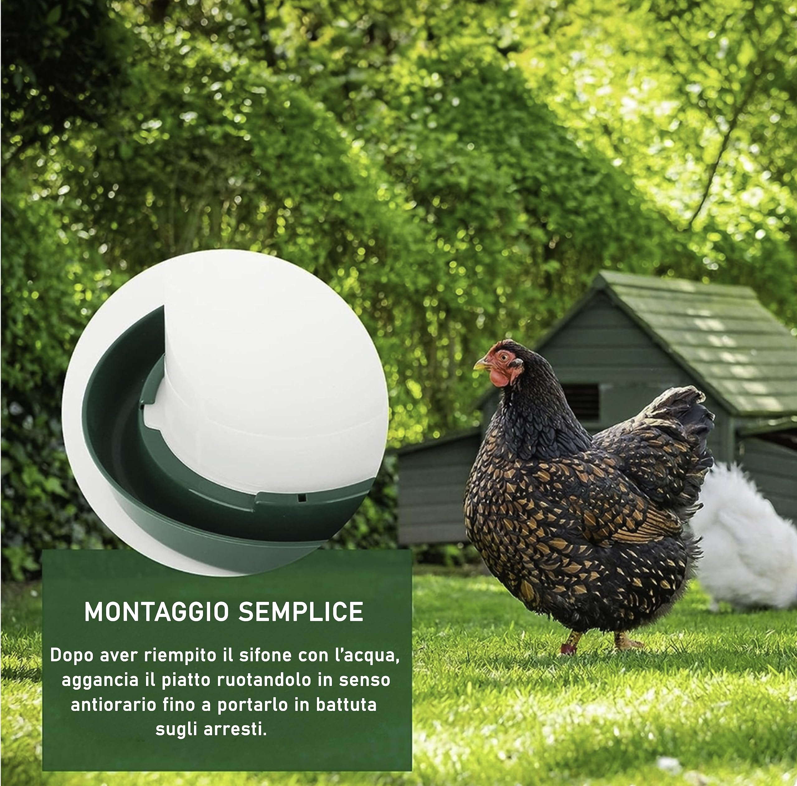 Mangiatoia per Galline Antispreco 9 Kg e Abbeveratoio per Galline 10L in Plastica Semi-Trasparente Resistente, Apendibili con Piedini Rimovibili