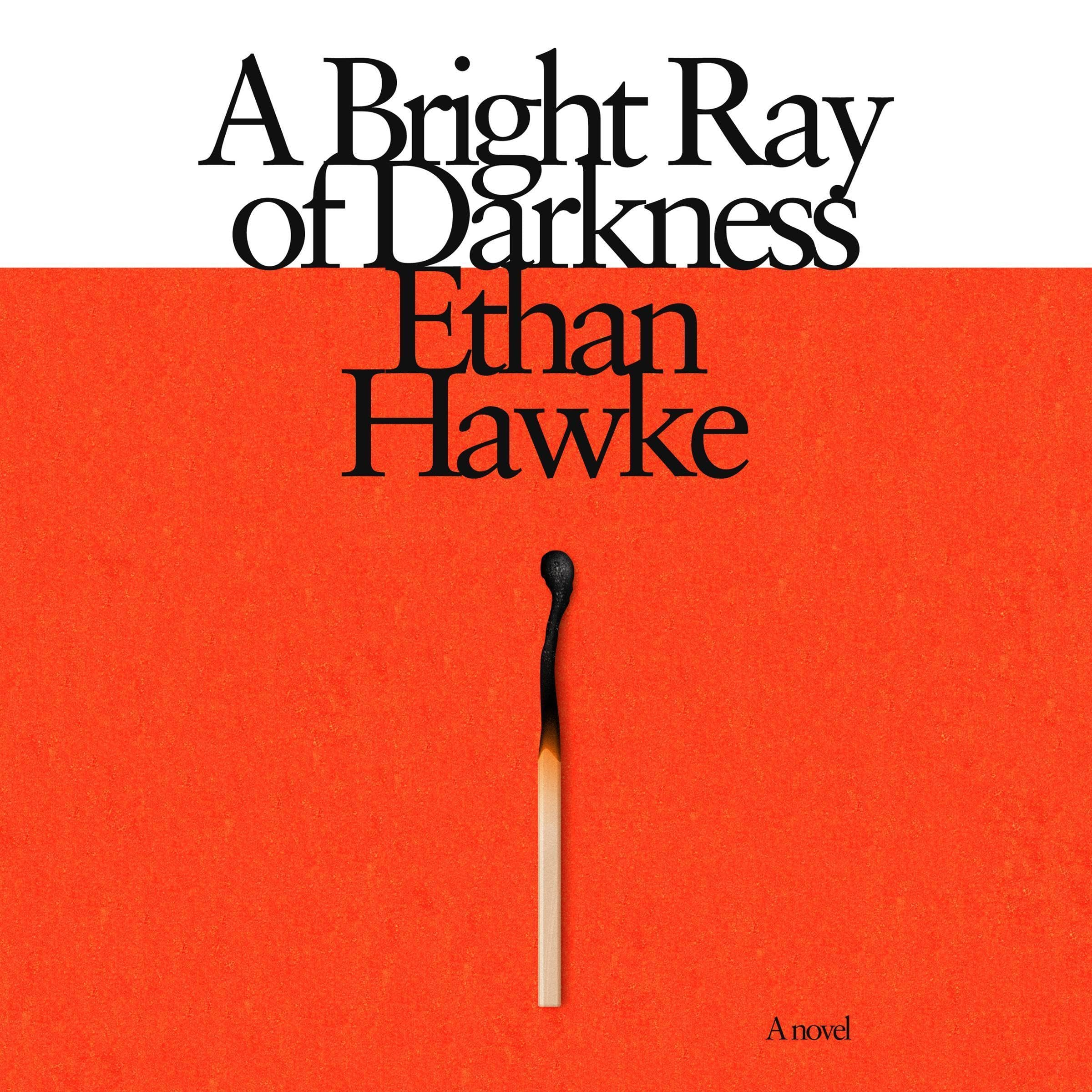 Cover art for A Bright Ray of Darkness