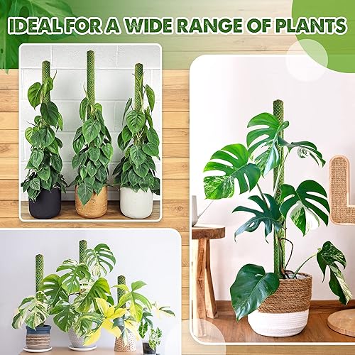 Miniatura 5 de DUSPRO Poste de Musgo de Malla Apilable Verde para Plantas Trepadoras que Trepan Enredaderas de Soporte Monstera Enrejado, para Plantas