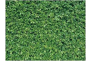 Mixweer 8' x 6' (96'' x 72'') Greenery Backdrop for Photography, 3D...