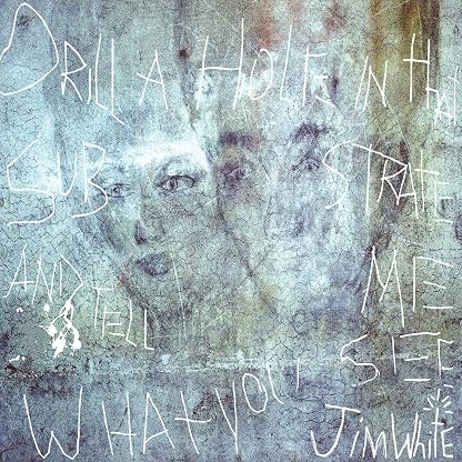 Drill a Hole in That Substrate and Tell Me What You See por Jim White, capa do álbum