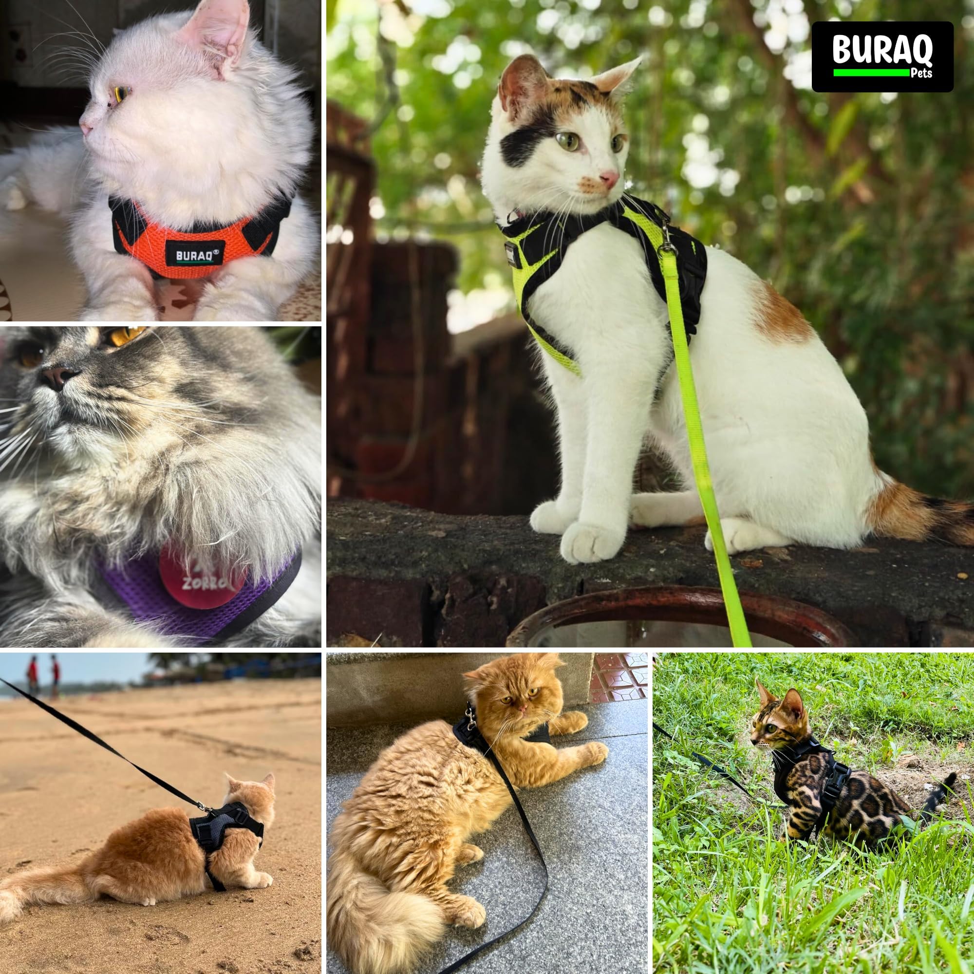 Buraq Pets Cat Harness with Leash No Pull No Choke Escape Proof Breathable 3