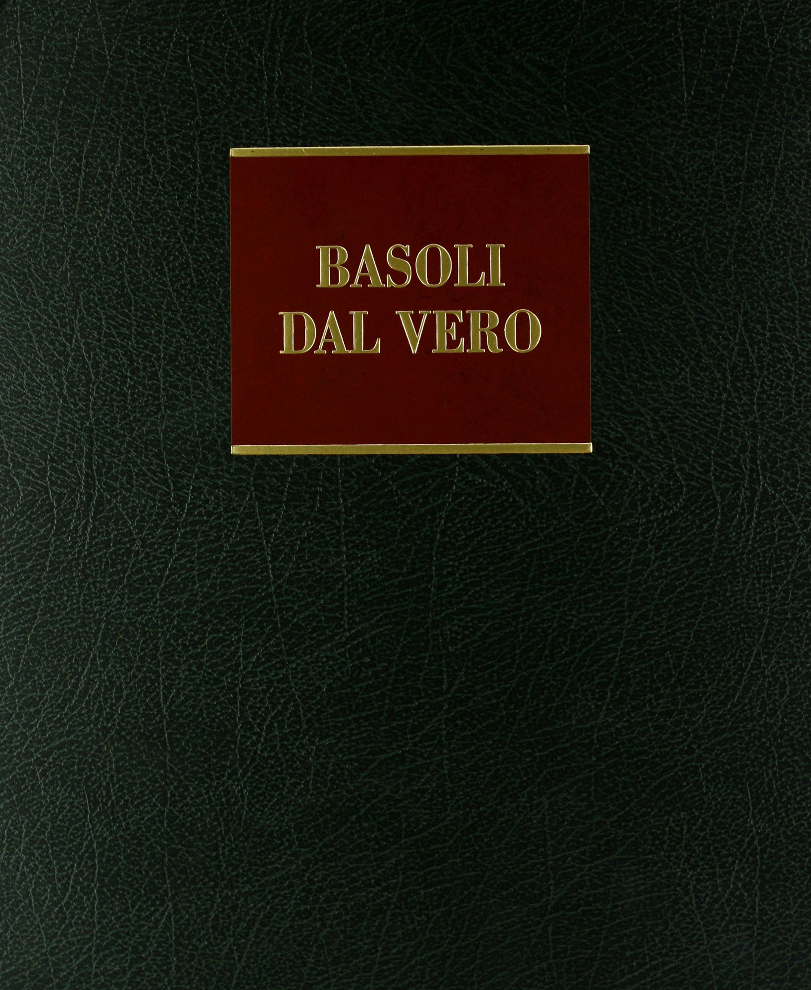 Carnets Antonio Basoli dal vero beau livre illustré pour décoration de salon