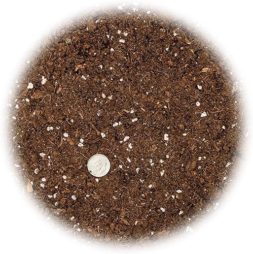 Miniatura 4 de 's Premium Orange Tree - Mezcla de tierra para macetas de drenaje rápido para cultivar y trasplantar Citrus Sinensis - 3 cuartos de galón