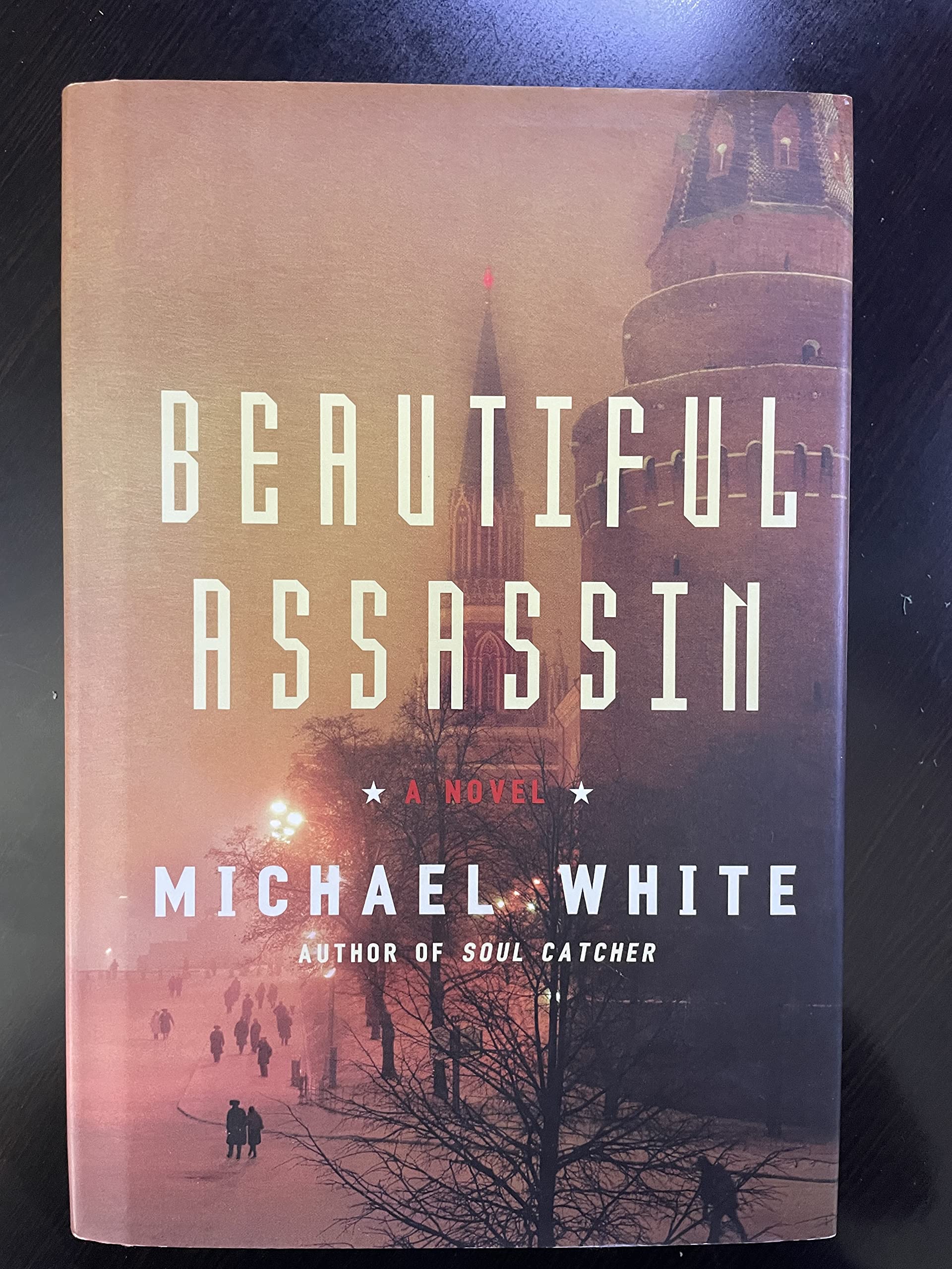 Beautiful Assassin: A Novel