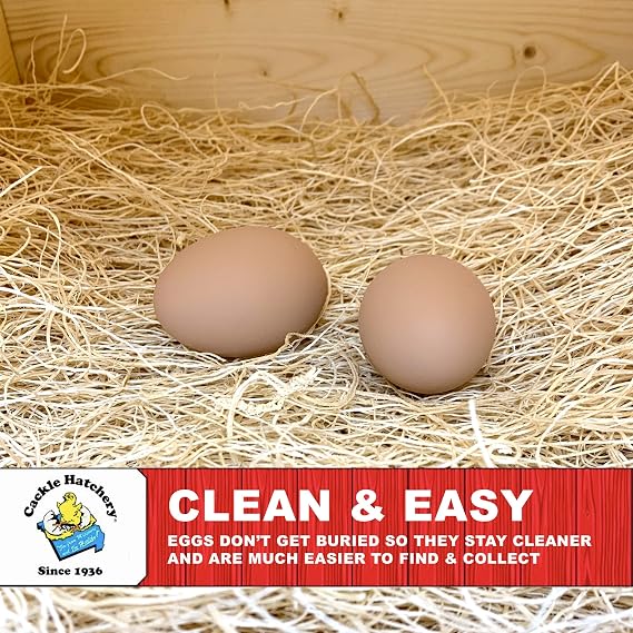 Cackle Hatchery Laying Hen Nest Box Pads Made in USA from Sustainable Aspen Exceslior - 13x13 Nesting Box Liners (6-Pack)